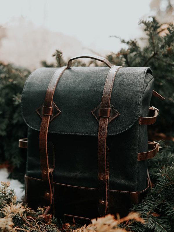 Scelerisque mauris pellentesque pulvinar